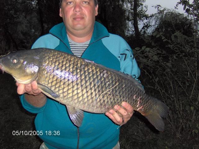 delta rosu 2005 - im000709.jpg